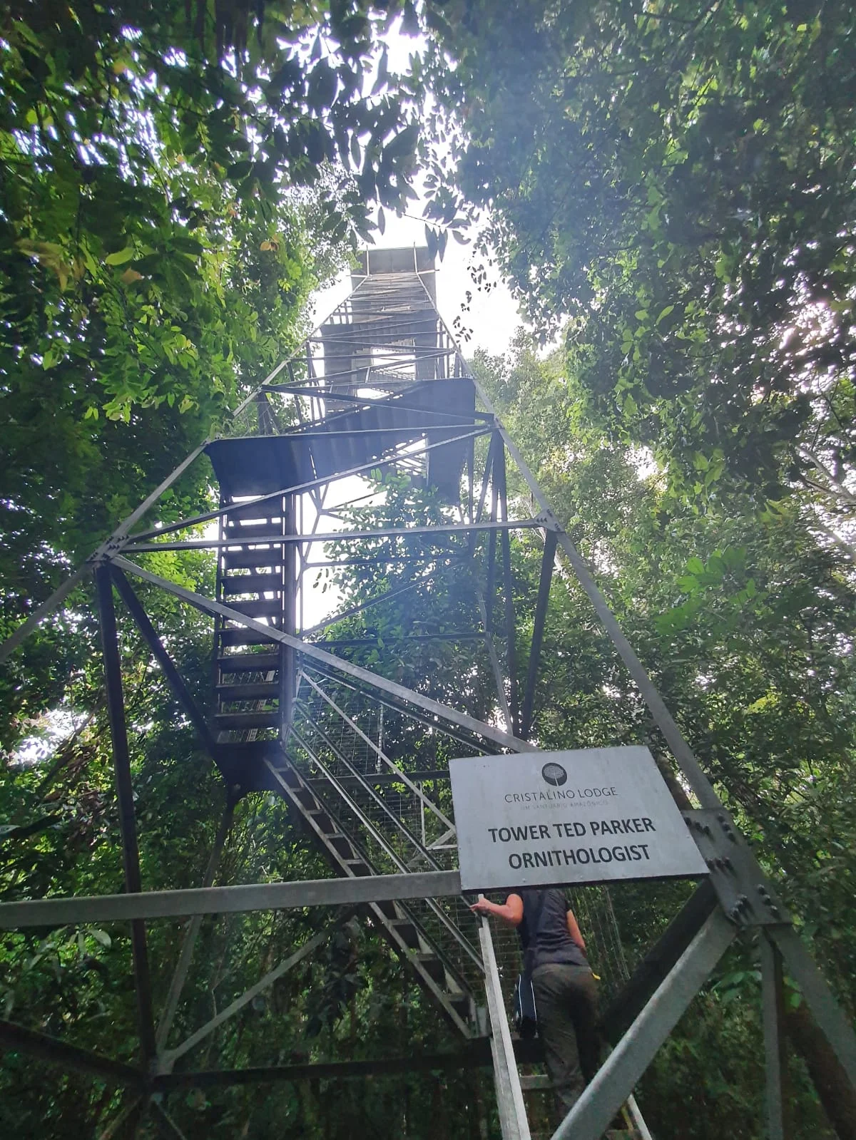 a metal canopy tower as seen from below at Cristalino Lodge